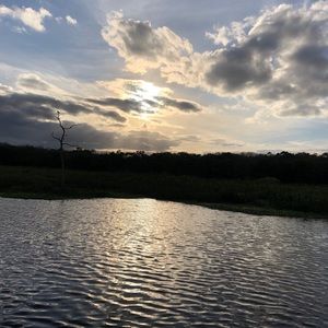 Meet your Posher, Kellyn